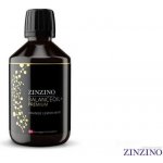 Zinzino BalanceOil Premium 300 ml – Hledejceny.cz