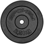 Spokey Litinový kotouč SINIS 2,5 kg 29mm – Zboží Dáma