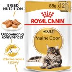 Royal Canin Maine Coon Loaf s paštikou pro mainské mývalí kočky 48 x 85 g – Hledejceny.cz
