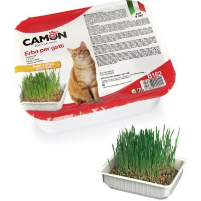 Camon tráva z ječmene 130 g – Sleviste.cz