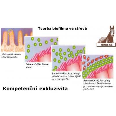 Horsal Plus 5 kg – Zboží Dáma