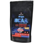 Carne Labs BCAA instant 2:1:1 400 g – Hledejceny.cz