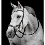 Horseware Micklem Deluxe Competition černá – Hledejceny.cz