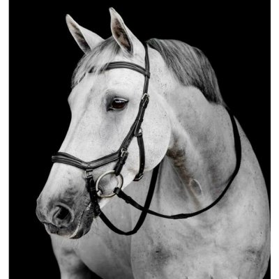 Horseware Micklem Deluxe Competition černá – Hledejceny.cz