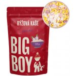 Big Boy Rýžová kaše Dracarys 50 g – Zboží Dáma