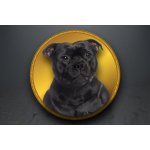 Emblém Stafordšírský bulteriér GL344/GL344_50 – Zboží Dáma