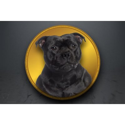 Emblém Stafordšírský bulteriér GL344/GL344_50 – Zboží Dáma