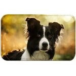 Zolux Podložka pro psy pod misku pejsci L – Zboží Mobilmania