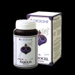 Diochi Gerocel Bioenzym 90 kapslí – Hledejceny.cz