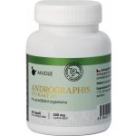 Andrographis 25 % extrakt 60 kapslí – Hledejceny.cz