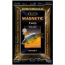 Návnada a nástraha Lorpio Krmítková směs Magnetic 2kg Carp Halibut