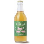 Bacilli fermentovaná limonáda kombucha Jasmín 330 ml – Zboží Dáma Bacilli fermentovaná limonáda kombucha Jasmín 330 ml – Zboží Dáma