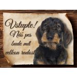 Sport hobby Cedulka Jezevčík černý drsnosrstý Vstupte 20 x 15 cm – Hledejceny.cz