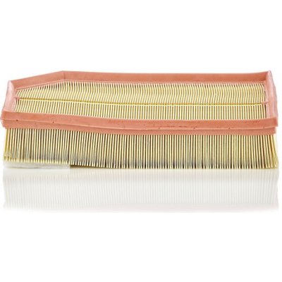 MANN-FILTER Vzduchový filtr MANN C33194 (MF C33194) | Zboží Auto