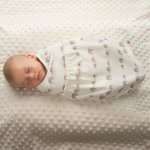 Ergobaby Swaddler zavinovačka Elephant – Zboží Dáma