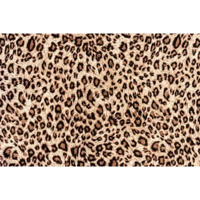 Dimex MS-5-2579 Vliesová fototapeta Leopardí kůže rozměry 375 x 250 cm