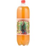 Stevikom Kombucha Šípek 2 l – Zboží Dáma