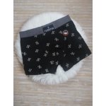 Fad chlapecké trenky boxerky kaktusy šedá – Zboží Dáma