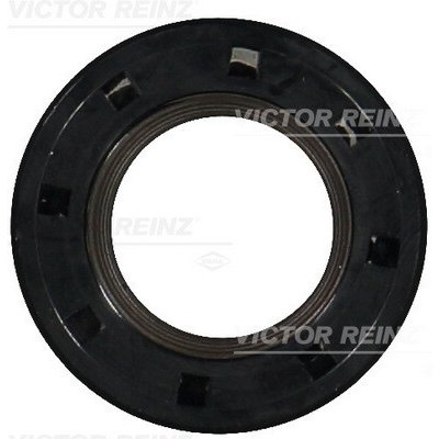 81-10411-00 VICTOR REINZ Tesnici krouzek hridele, vackovy hridel | Zboží Auto