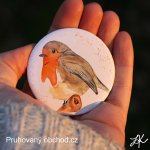 Červenka obecná - button neboli placka – Hledejceny.cz