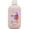 Šampon Inebrya Ice Cream Dry-T Shampoo výživný šampon 300 ml