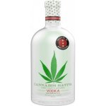 Cannabis Sativa Vodka 37,5% 0,7 l (holá láhev) – Zboží Dáma