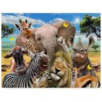 Norimpex Diamantový obrázek Safari 30 x 40 cm 1004873 – Hledejceny.cz