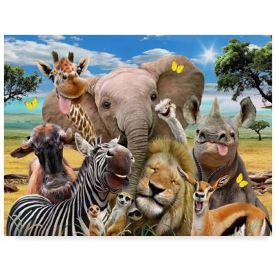 Norimpex Diamantový obrázek Safari 30 x 40 cm 1004873 – Hledejceny.cz