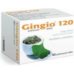 GINGIO POR 120MG TBL FLM 60 – Sleviste.cz