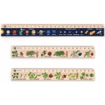 Metrie DSM08 pravítko 25 cm Sluneční soustava + pravítko 20 cm Jehličnany + pravítko 20 cm Listnaté stromy – Zboží Dáma