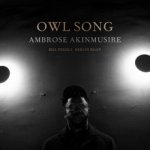Ambrose Akinmusire - Owl Song CD – Hledejceny.cz
