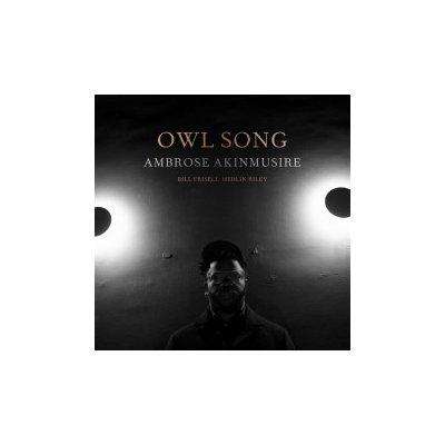 Ambrose Akinmusire - Owl Song CD – Hledejceny.cz