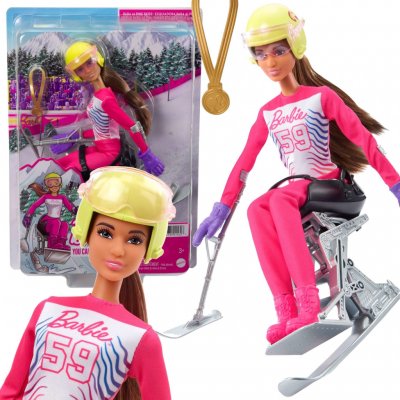 Barbie Zimní sporty Alpine Paranar