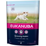 Eukanuba Puppy & Junior Small Breed 3 kg – Hledejceny.cz