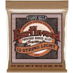 ERNIE BALL 2153 – Hledejceny.cz