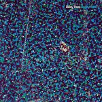 Decades - Nightwish CD – Hledejceny.cz