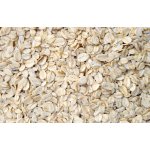 Les Fruits du Paradis Ovesné bezlepkové vločky BIO 3 kg – Zboží Mobilmania