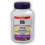 Webber Naturals Vitamin B6 100 mg 90 tablet – Hledejceny.cz