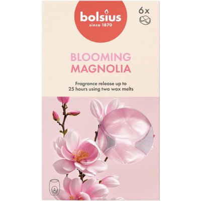Bolsius Vonné vosky Magnolie sada 6 ks – Hledejceny.cz