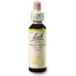 Bachovy květové esence kapky Wild Rose Planá šípková růže 20 ml – Hledejceny.cz