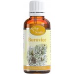 Serafin Borovice tinktura z pupenů extra silna 50 ml – Hledejceny.cz
