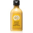 Šampon The Body Shop Banana vyživující šampon 250 ml