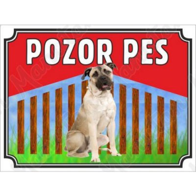 Pozor pes - Cane, plast 210 x 148 x 2 mm A5 – Zbozi.Blesk.cz