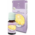 Hanna Maria Pro posílení ducha 7. čakra éterický olej 10 ml – Hledejceny.cz