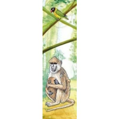 Safari Pavián - Záložka s 3D efektem – Hledejceny.cz