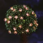 Garden of Eden Solární světelný řetěz s květy a 25 teplými bílými LED, 2,4 m – Hledejceny.cz