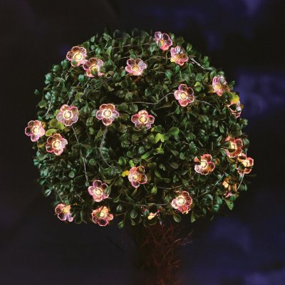 Garden of Eden Solární světelný řetěz s květy a 25 teplými bílými LED, 2,4 m – Hledejceny.cz