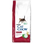 Cat Chow Urinary Tract Health 15 kg – Hledejceny.cz