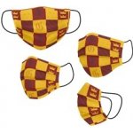 Detské ochranné rúško na ústa Harry Potter: Nebelvír - Gryffindor - Harry Potter – Hledejceny.cz