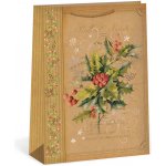 ARGUS Dárková papírová taška (31 x 41.5 cm) 08840095 – Zboží Dáma